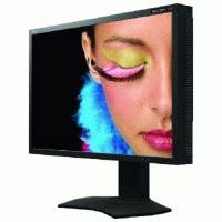 NEC SpectraView 232