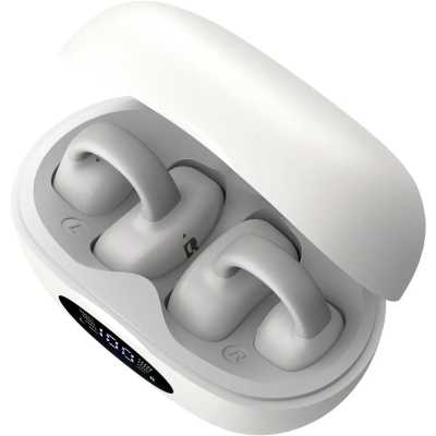 A4Tech Biosong B5 White