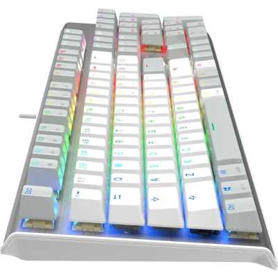 клавиатура A4Tech Fstyler FS100 Neon Grey