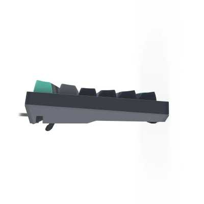 клавиатура A4Tech Fstyler FS300 Panda Rock