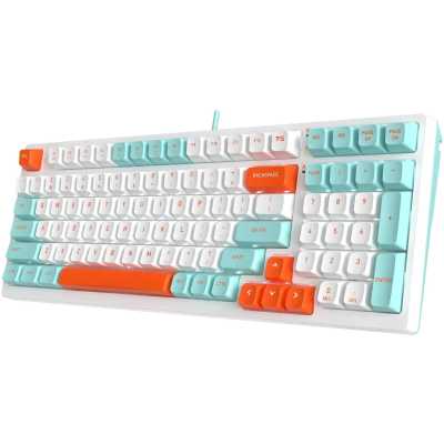 клавиатура A4Tech Fstyler FS300 Panda Snorklening