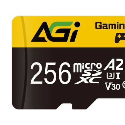 AGI 256GB AGI256GGSTF138