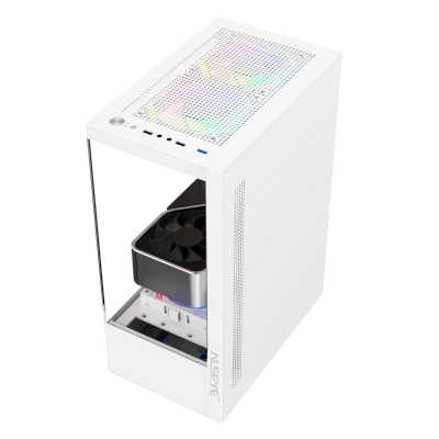 Alseye Spider White