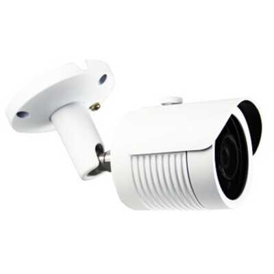 AltCam DCF81IR