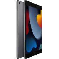Apple iPad 2021 10.2 Wi-Fi 256Gb Space Grey MK2N3RU/A