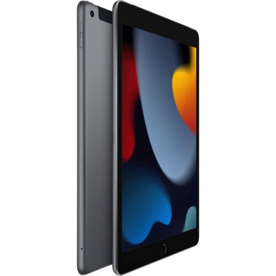 Apple iPad 2021 10.2 Wi-Fi+Cellular 256Gb Space Grey MK693LL/A