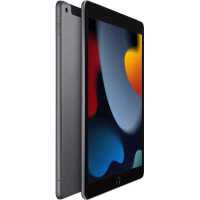 Apple iPad 2021 10.2 Wi-Fi+Cellular 64Gb Space Grey MK473RU/A