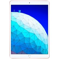 Apple iPad Air 2019 256Gb Wi-Fi+Cellular MV0Q2RU/A