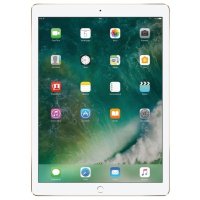 Apple iPad Pro 12.9 2017 256Gb Wi-Fi MP6J2RU/A
