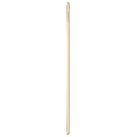 Apple iPad Pro 12.9 2017 64Gb Wi-Fi MQDD2RU/A