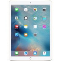 Apple iPad Pro 12.9 256Gb Wi-Fi+Cellular ML2N2RU/A