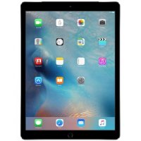 Apple iPad Pro 12.9 256Gb Wi-Fi ML0T2RU/A