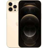 смартфон Apple iPhone 12 Pro Max 256GB Gold MGDE3RU/A