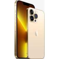 смартфон Apple iPhone 13 Pro 256GB Gold MLW73RU/A