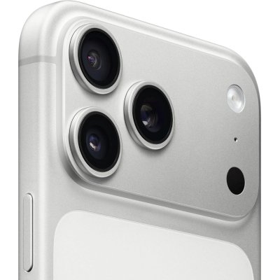 смартфон Apple iPhone 17 Pro Max 256GB Silver MG034CH/A