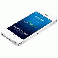 Apple iPhone 5s ME312LL/A