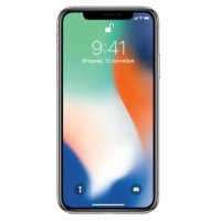 Apple iPhone X MQAD2RU/A