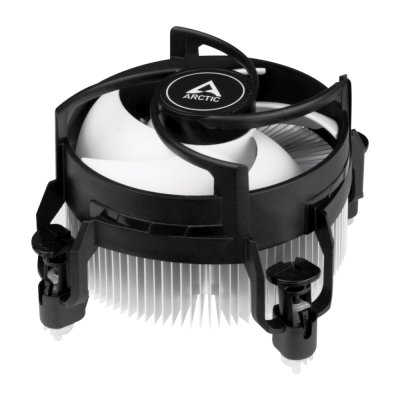Arctic Alpine 17 ACALP00040A