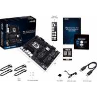 ASUS Pro WS W480-ACE