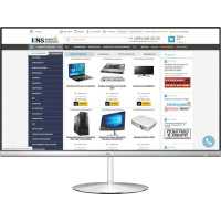 моноблок ASUS Zen ZN242GDK-CA019R 90PT0231-M05380