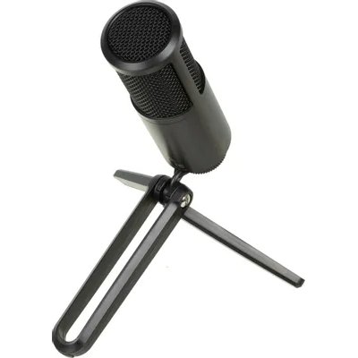 Audio-Technica ATR2500x-USB