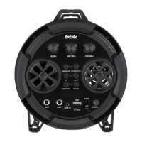 BBK BTA605 Black
