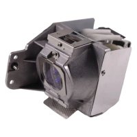 BenQ 5J.J7L05.001