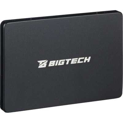 BigTech 256Gb BSDS256SE