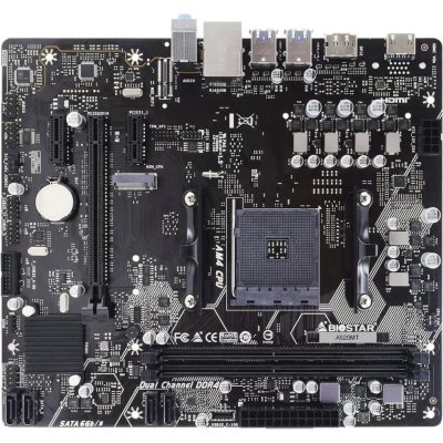 Biostar A520MT
