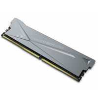 BiwinTech DX500 B14BUAG53016ER-GAL