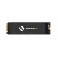SSD диск BiwinTech NX500 256Gb 82P1B8