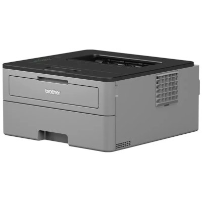 Brother HL-L2312D