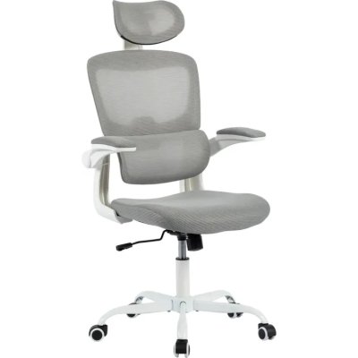 офисное кресло Byroom Challenge HS-6305W-2-G