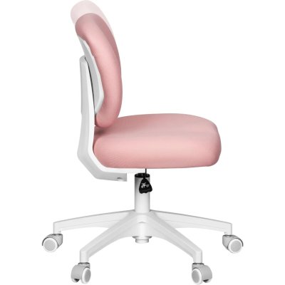 Cactus CS-CHR-3594PK