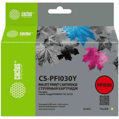 Cactus CS-PFI030Y