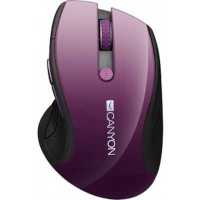 Canyon MW-01 CNS-CMSW01P