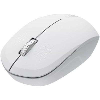 Canyon MW-04 CNS-CMSW04W