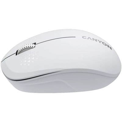 Canyon MW-04 CNS-CMSW04W