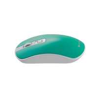 Canyon MW-18 CNS-CMSW18A