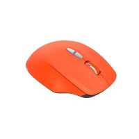 Canyon MW-21 CNS-CMSW21R