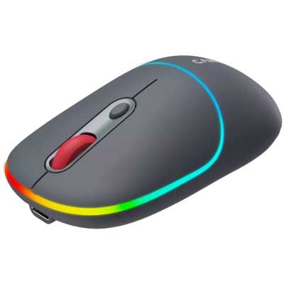 мышь Canyon MW-22 CNS-CMSW22DG