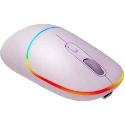мышь Canyon MW-22 CNS-CMSW22PR