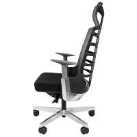 Chairman Spinelly
