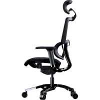 Cougar Argo Black