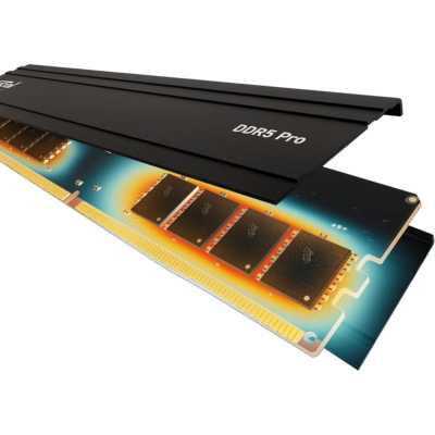 Crucial Pro CP2K64G56C46U5