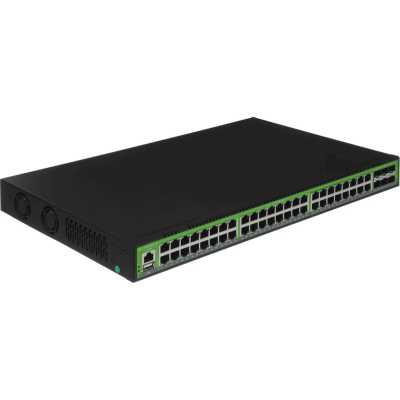 Digma DSW848G-6S+R