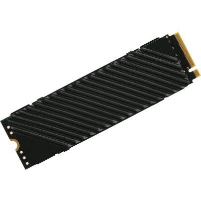 Digma Top G3 4Tb DGST4004TG33T