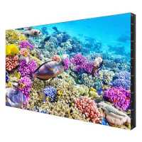EliteBoard SK555FCLN