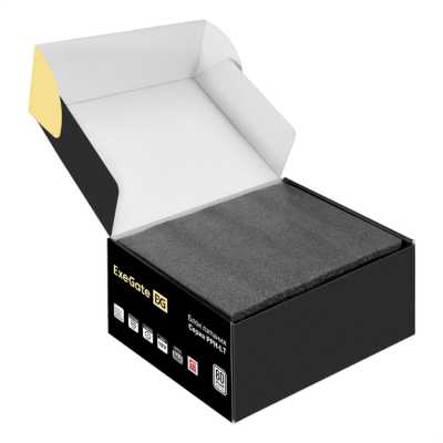 ExeGate 450PPH-LT