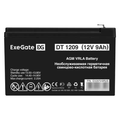 ExeGate DT 1209 EX297519RUS